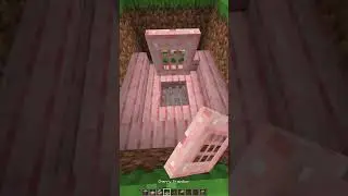 minecraft X-RAY Glitch