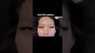 The Lash Tray & The Lashes/ Mega Volume