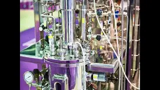 Soft Sensors in Bioreactors: How AI Monitors Biomass & Boosts Bio-production| Role Of Soft Sensors