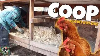 Chicken Coop Clean Out & Yard Cleanup | Backyard Homestead Update