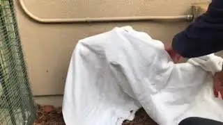 Cover Sprinkler Pipes in Fall