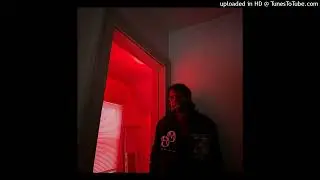 nedflanders FREESTYLE