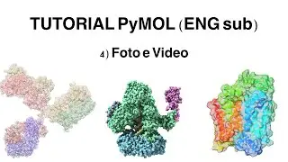 Tutorial PyMOL: Esportare foto e video (ENG sub)