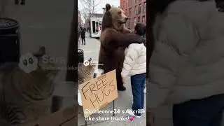 Free hugs Downtown! #funny #love #fun #comedy #cat #bear #animals #city #family #lol #cute