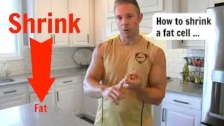 The Fastest Way to Shrink a Fat Cell