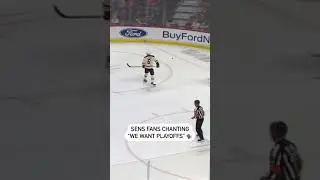 Senators Fans Chant WE WANT PLAYOFFS 🔊