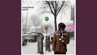 Zombie (feat. Blacksvshi)