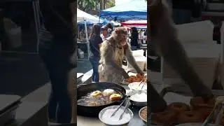 The monkey making donuts for street food 🐒🔥 #shorts #monkey #new #content
