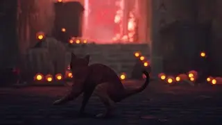 Stray - Dead City