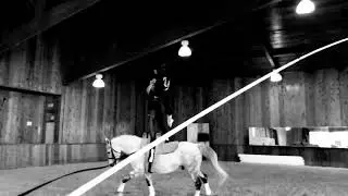 Free Artists Creative Equestrians in training. Horse Vaulting. &ldquo;I&rsquo;ll never let you down&rdquo;.