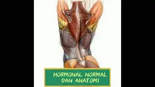 5 Syarat Kehamilan