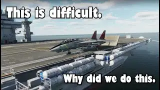 Learning to fly the F-14 Tomcat in DCS World.