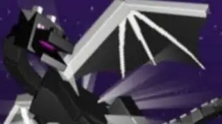 I beat ender dragon #5  