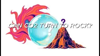 DID YOU KNOW CO2 CAN TURN INTO ROCK IN MONTHS...?