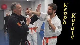 Descubriendo el Kenpo Karate