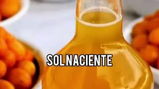 SOL NACIENTE - TIRATE UN PASO LELE - EMDJ
