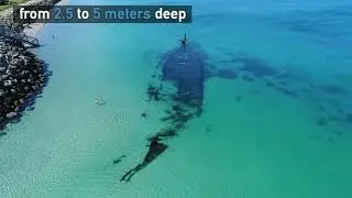 Coogee  Omeo Dive Trail