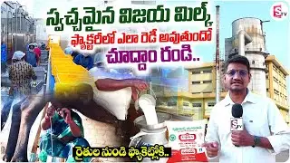 Pure Vijaya Milk Making Process | Krishna Milk Union Success Story | Best Milk Brands in India
