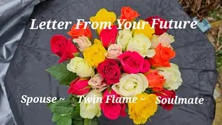 Pick a Rose - Letter From Your Future Spouse Twin Flame Soulmate Love Reading Tarot / Oracle Pile