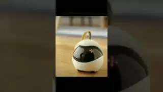 😼 High-Tech Gadgets For Your Cat and Dog 🐕&zwj;🦺 Gadgets for pets-PetTechnology🦮 @petsuply  😼  #shorts