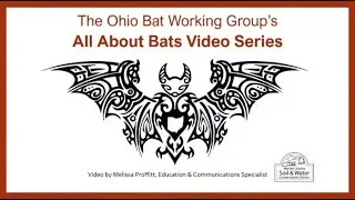 Bats of Ohio by Melissa Proffitt, Warren Co. Soil & Water Conservation District