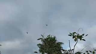 The Pair of Bell Helicopters Part 2 June 07,2025. Bell AH-1Z Viper and UH-1Y Venom flying over.