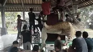 Stt Patra Kayoni. Nusasari  (part1)