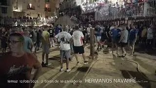 Ademuz 2025  4 toros embolados