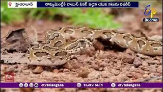 Indian Fox Documentary Teaser Released | ఇండియన్ ఫాక్స్ డాక్యుమెంట్రీ టీజర్ విడుదల