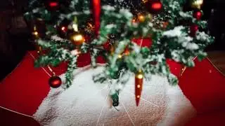 Magic Tree Info