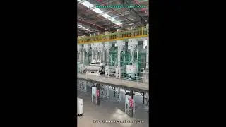 200T/D Rice Milling Plant | Complete Paddy-to-Packaged Rice System #RiceMillPlant