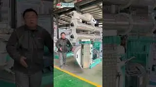 Pellet Making Machine for Livestock Feed  #livestock #poultry #feedmachine #machine #unit #factory