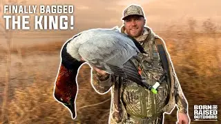Crazy MIXED Bag! (7 Species in One Day)