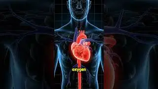 What If Breathing Could Fix Your Sleep Naturally? #health #facts