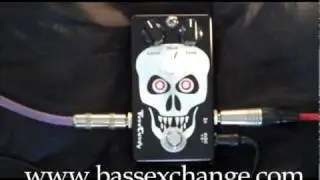 Tone-Candy-Skull-OD.mov
