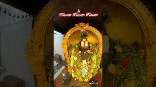Govinda🙏 #tirumala #holy #love #tourist #instagood #beautiful #travel #wanderlust #beauty #festival
