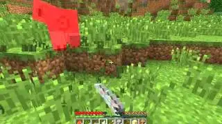 Minecraft Survival 
