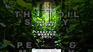 The Soil Story - Peaty and Marshy Soil By UPSC GURUS