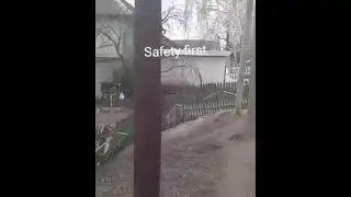 Animels Fun | DOGS Also Know About Safety First