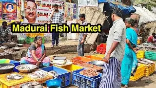 Madurai Fish Market Walking Video | MG TRAVELLER