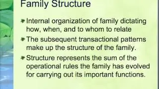 Structural Family Therapy