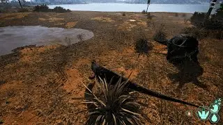 Hunting Triceratops | The Isle (Evrima) | Ceratosaurus Gameplay#16