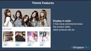e-Shopper Pro &ndash; An eCommerce WordPress Theme