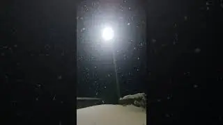 А шнейне снег идёт... #life #wildlife #snow #snowfall #mlbb