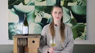 Wein erkl&auml;rt: Rotgipfler Ried Rodauner 1. &Ouml;TW Leo Aumann Thermenregion Wei&szlig;wein trocken