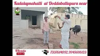 KRvastu journey at Doddaballapura near.