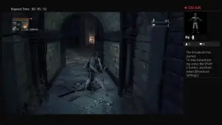 Me playing bloodblone it lite af