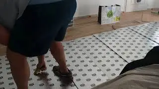 Pose de parquet stratifi&eacute; Intenso - Olaskur Lda