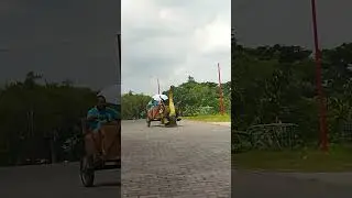 serangan para dinosaurus