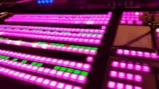 Ross Vision Switcher Easter Egg Jackpot Slots 